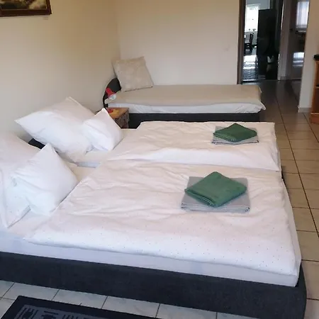 Centrum Etterem Es Panzio Őriszentpéter