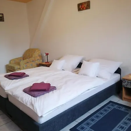 Centrum Etterem Es Panzio Guest house
